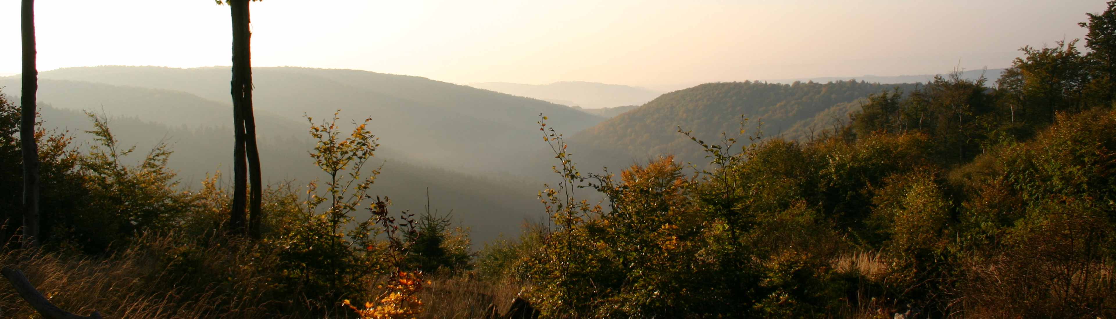Die Umgebung Stolbergs