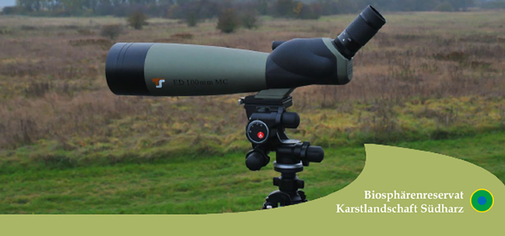 Kranichrast am Helme Stausee