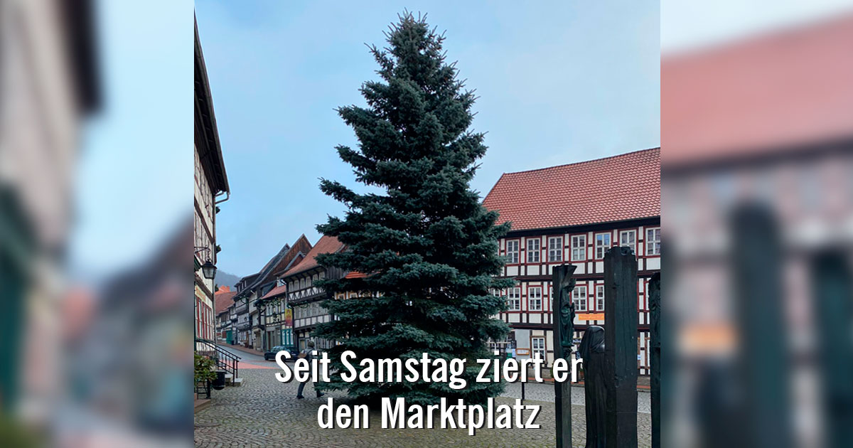 Weihnachtsbaum-auf-dem-Stoberger-Marktplatz