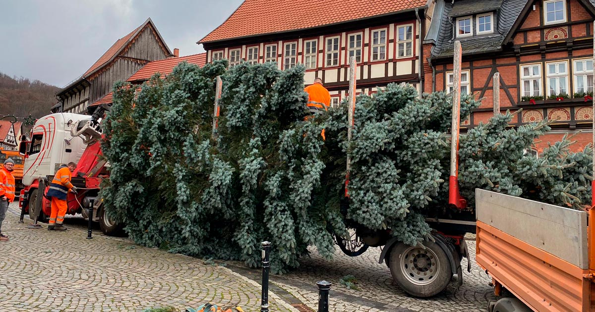 Weihnachtsbaum-auf-dem-Stoberger-Marktplatz