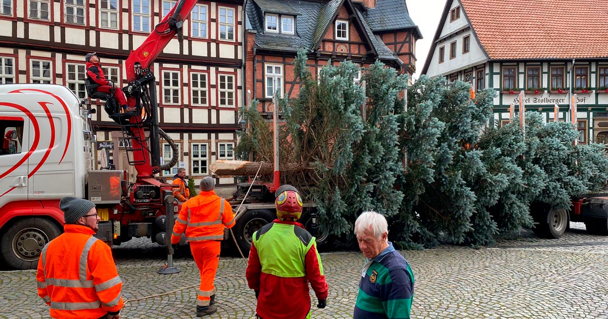 Weihnachtsbaum-auf-dem-Stoberger-Marktplatz