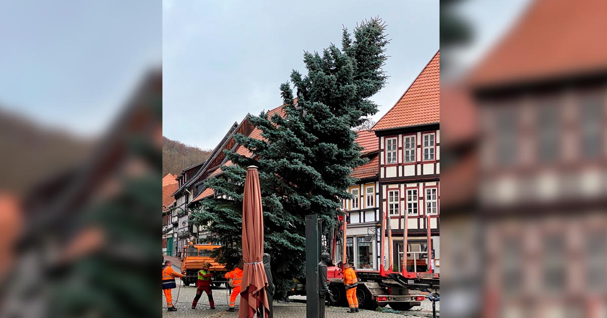 Weihnachtsbaum-auf-dem-Stoberger-Marktplatz