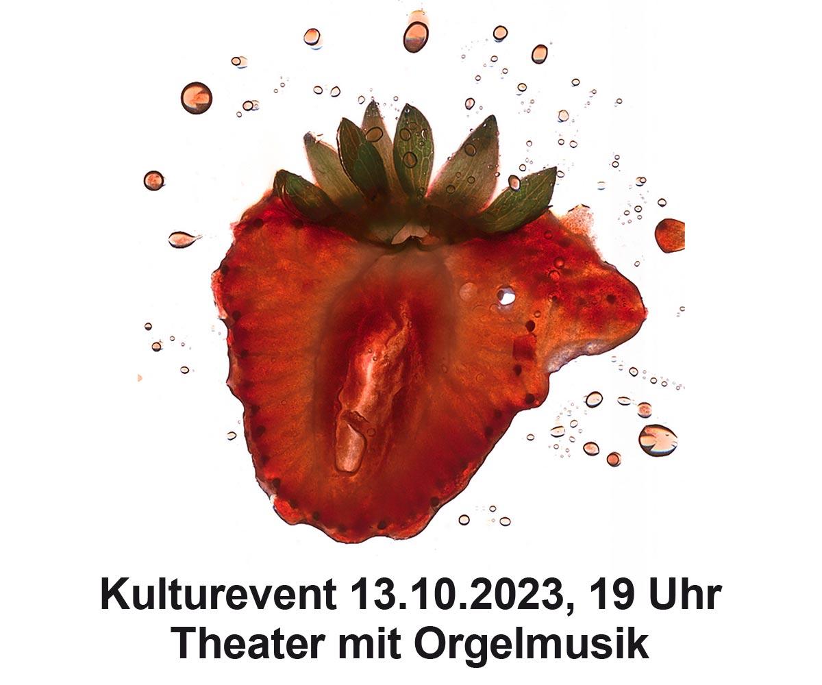 Rudimentär & Die Marmeladenesser (Uraufführung) in St. Martini Stolberg (Harz)